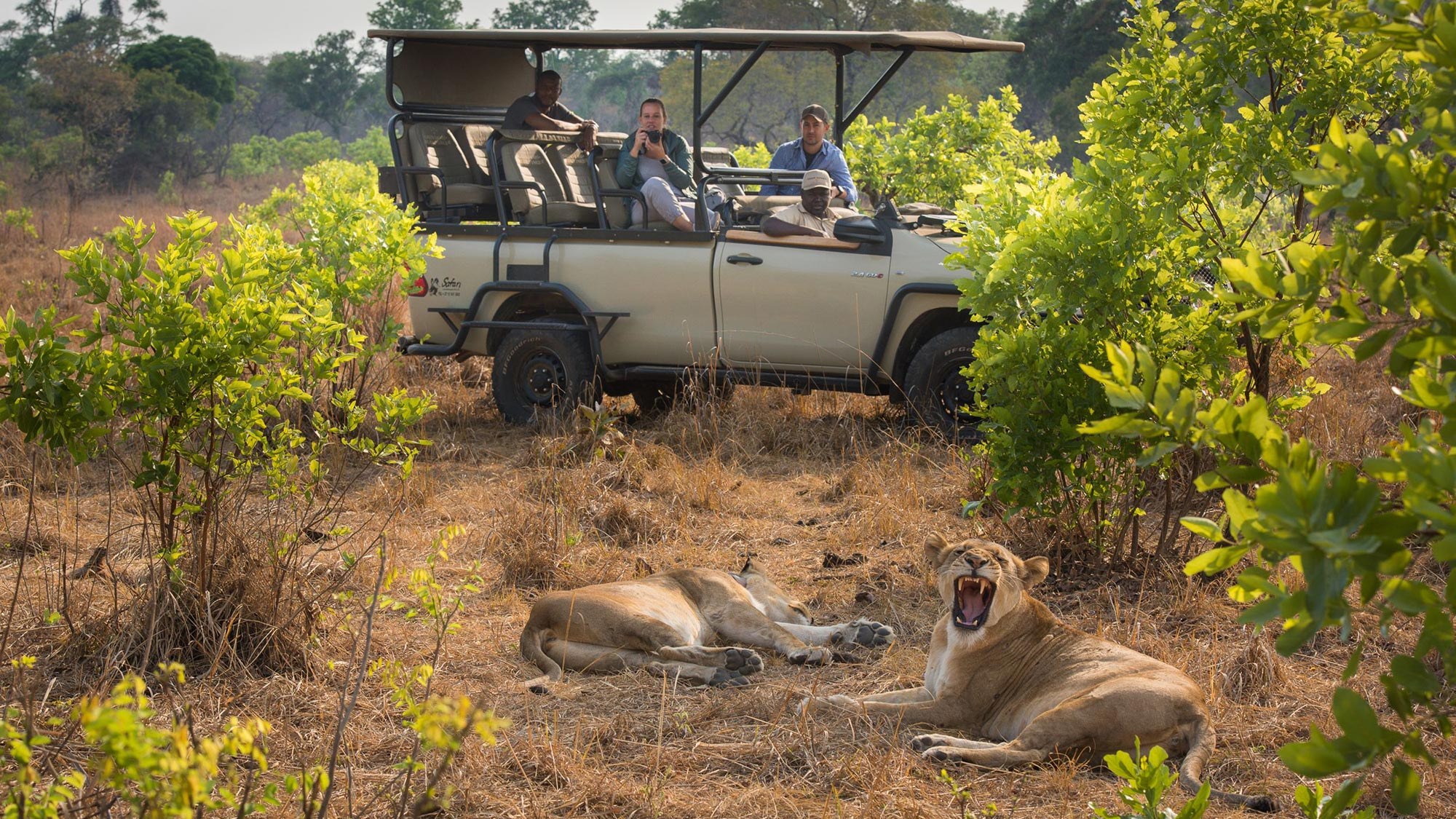 Ila Safari Lodge by Green Safaris, Kafue National Park