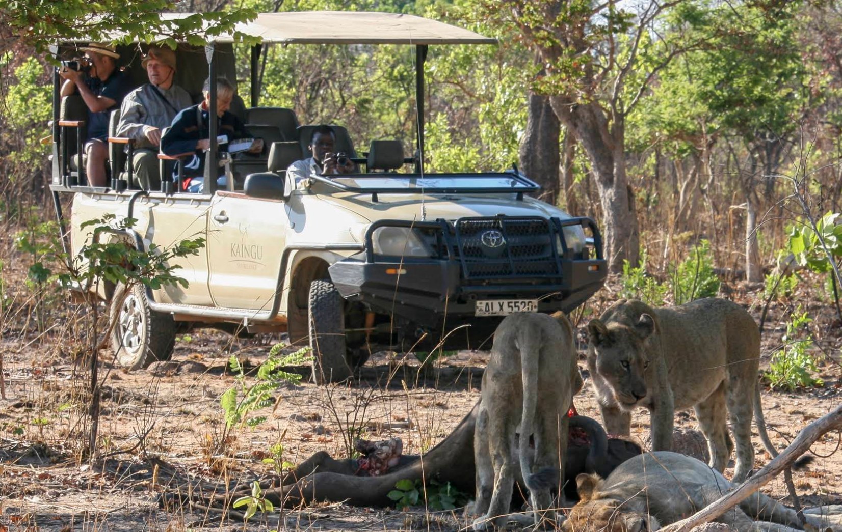 KaingU Safari Lodge, Kafue