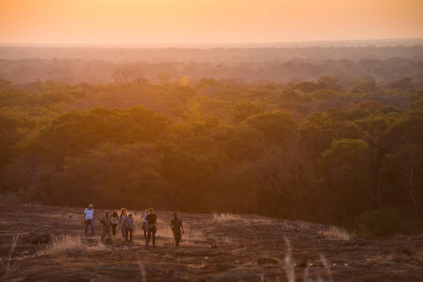 KaingU Safari Lodge, Kafue